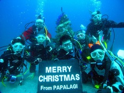 20101204 Xmas.jpg